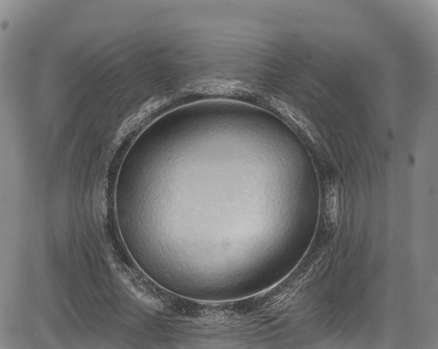 X0000085060682200703121525