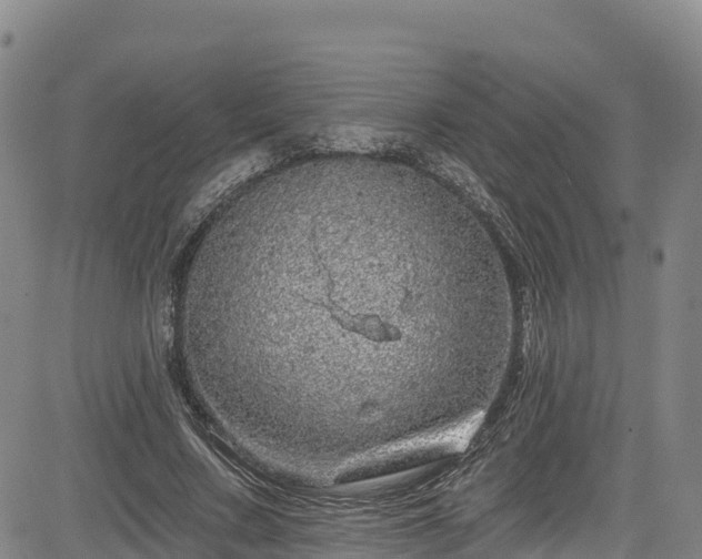 X0000085060683200703121525