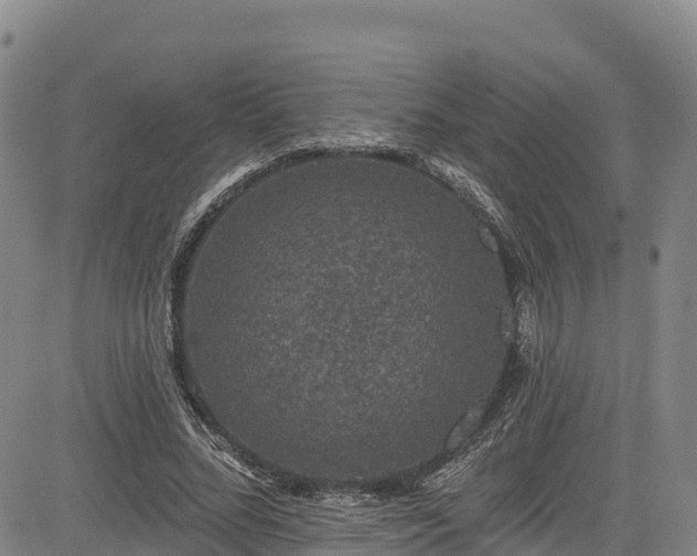 X0000085060684200703121525