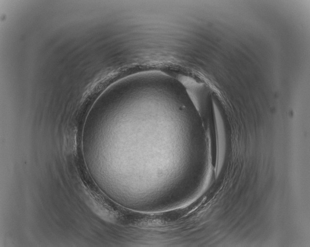 X0000085060685200703121525