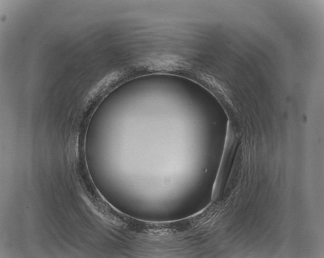 X0000085060686200703121525