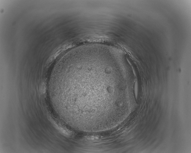 X0000085060687200703121525