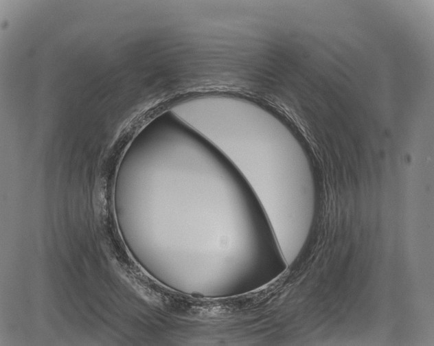 X0000085060688200703121525