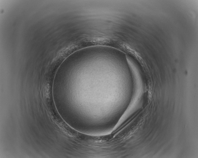 X0000085060689200703121525