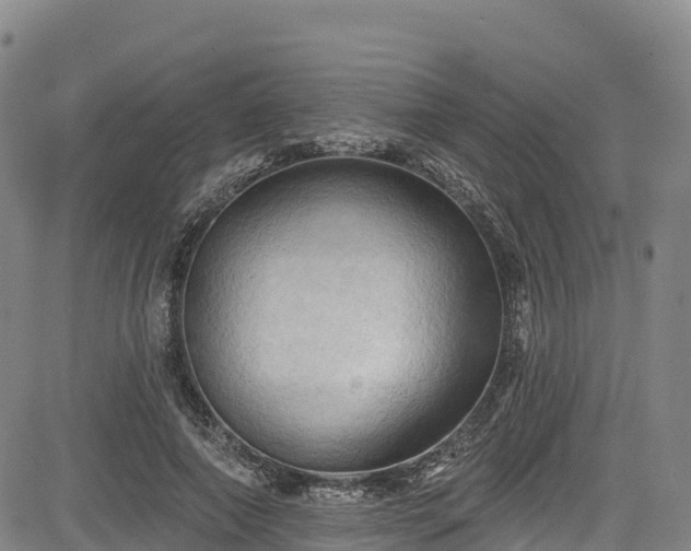 X0000085060690200703121525