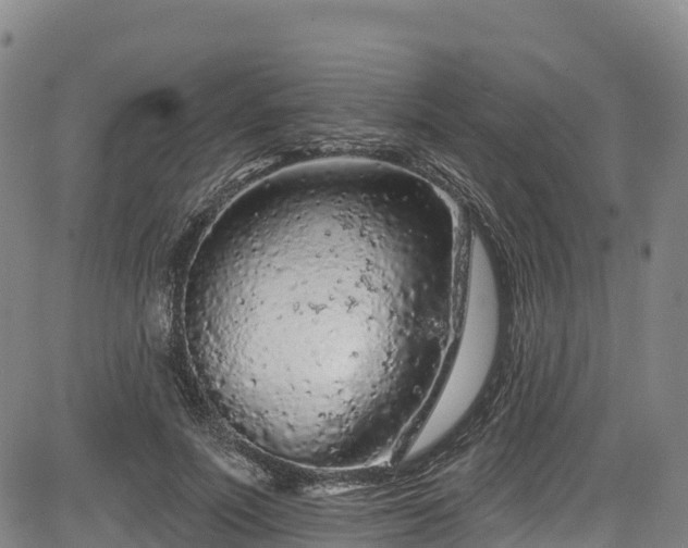 X0000085060691200703121525