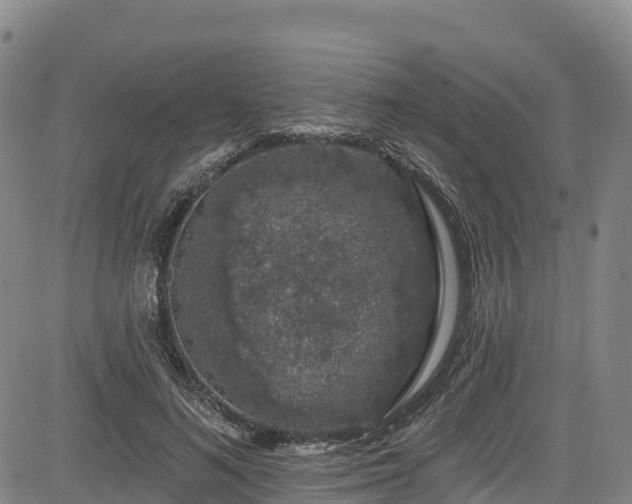 X0000085060692200703121525