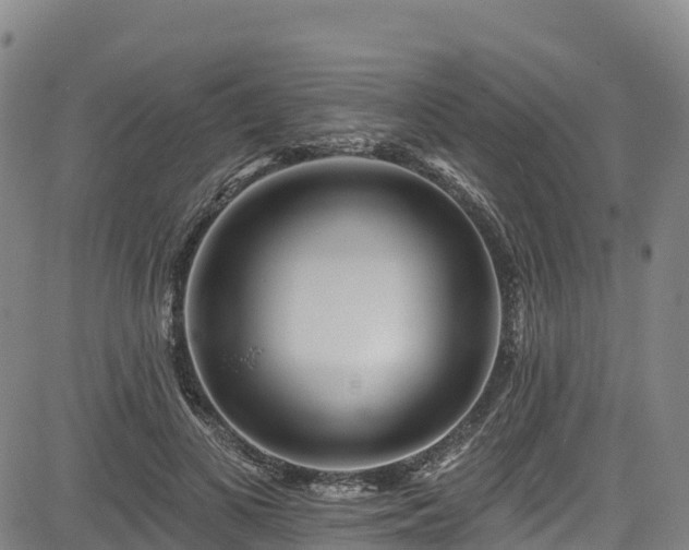 X0000085060693200703121525