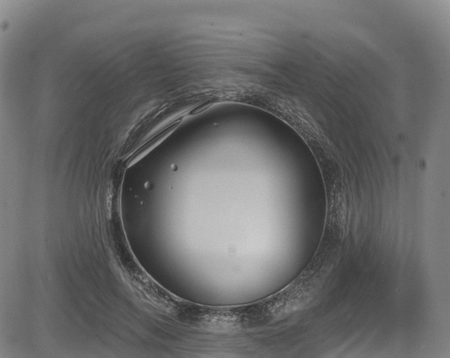 X0000085060694200703121525