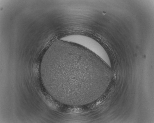 X0000085060695200703121525