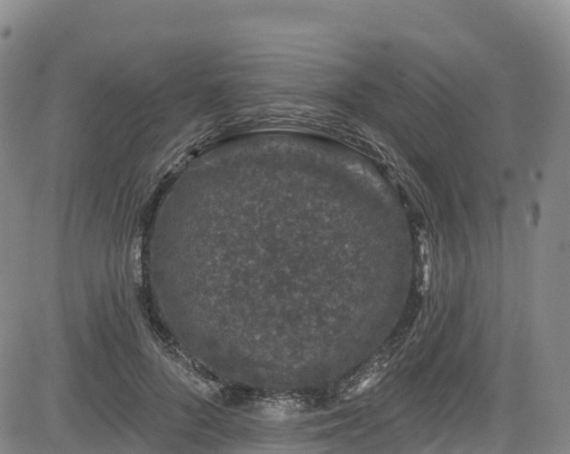 X0000085060696200703121525