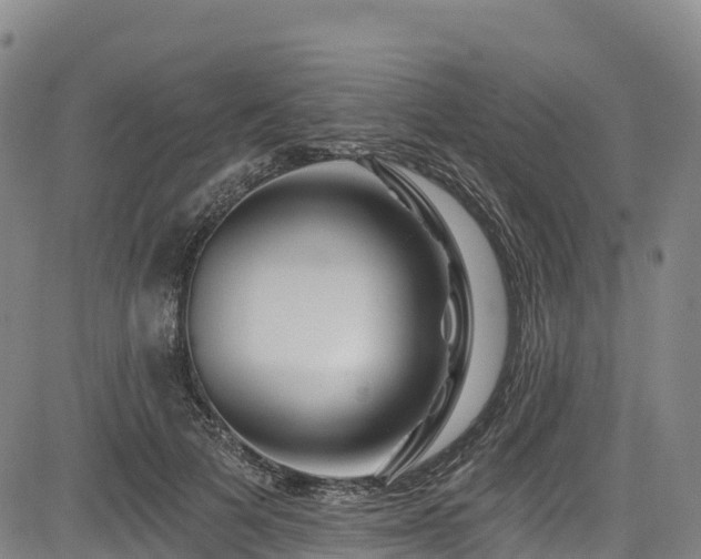 X0000085060697200703121525