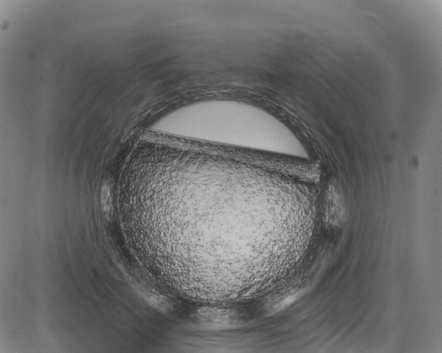 X0000085060699200703121525