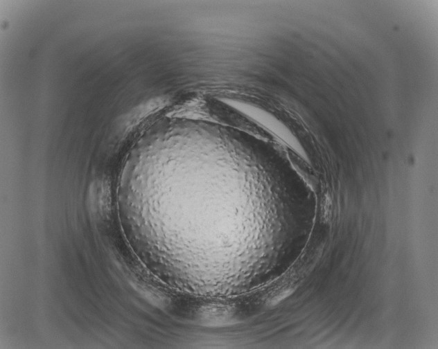 X0000085060700200703121525