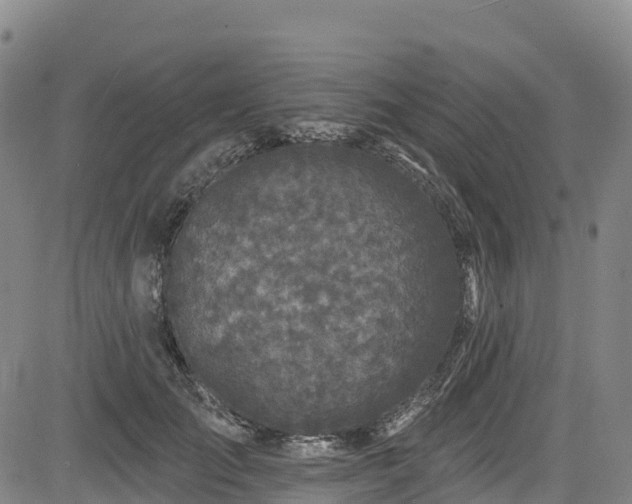 X0000085060701200703121525