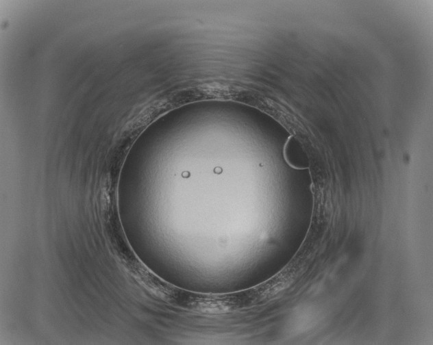 X0000085060702200703121525