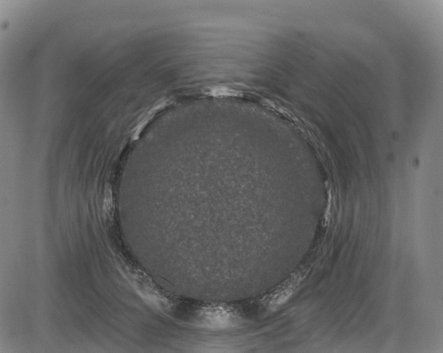 X0000085060704200703121525