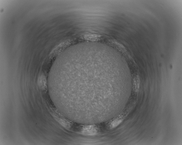 X0000085060705200703121525