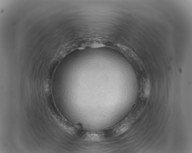 X0000085060706200703121525