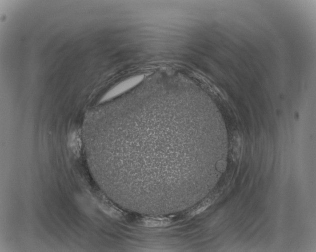 X0000085060707200703121525