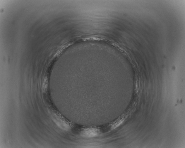 X0000085060708200703121525