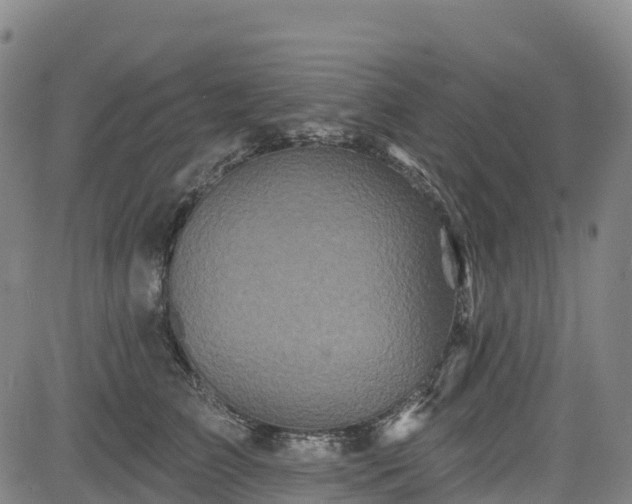 X0000085060709200703121525