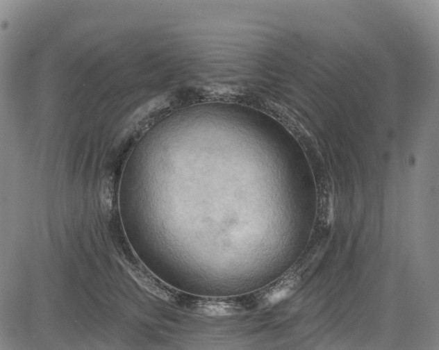 X0000085060710200703121525