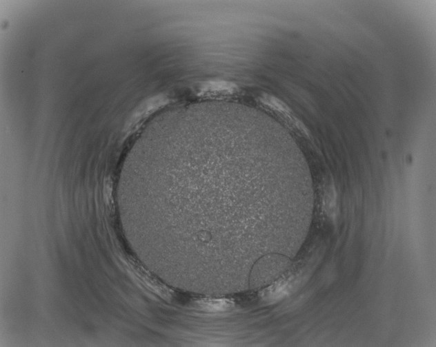 X0000085060711200703121525