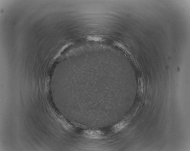 X0000085060712200703121525