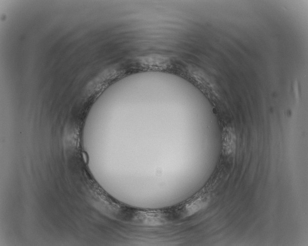 X0000085060713200703121525