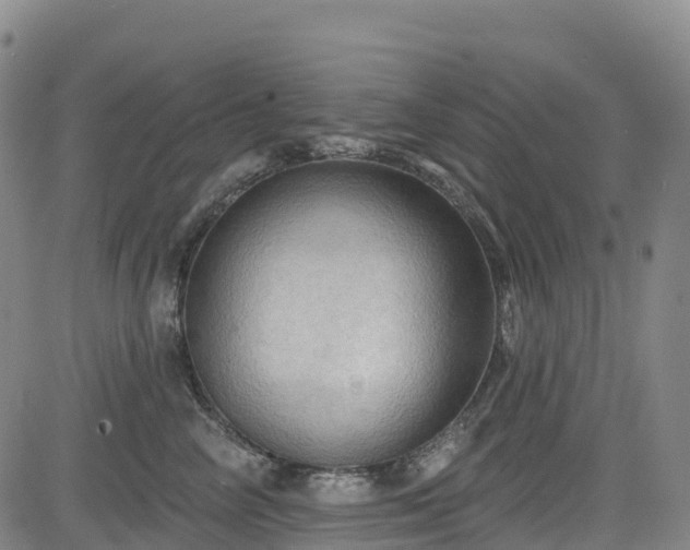 X0000085060714200703121525