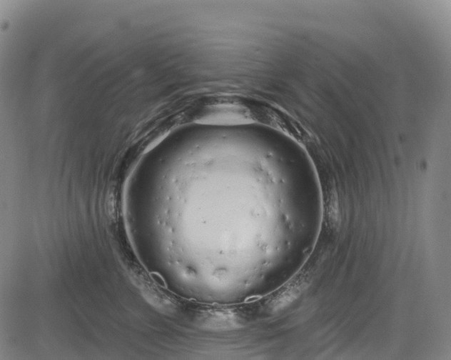 X0000085060715200703121525