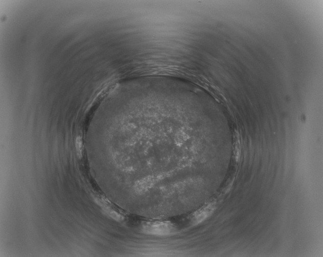 X0000085060716200703121525