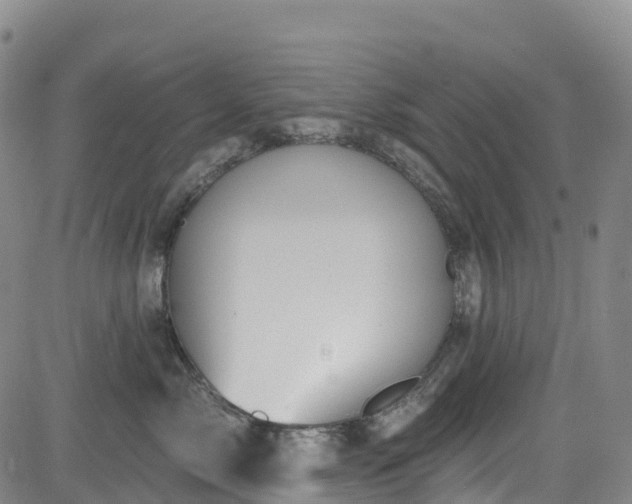 X0000085060717200703121525