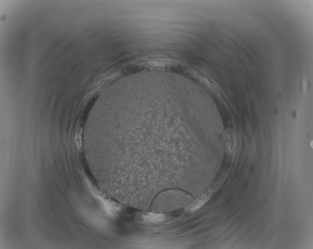 X0000085060718200703121525