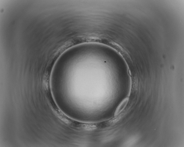 X0000085060719200703121525