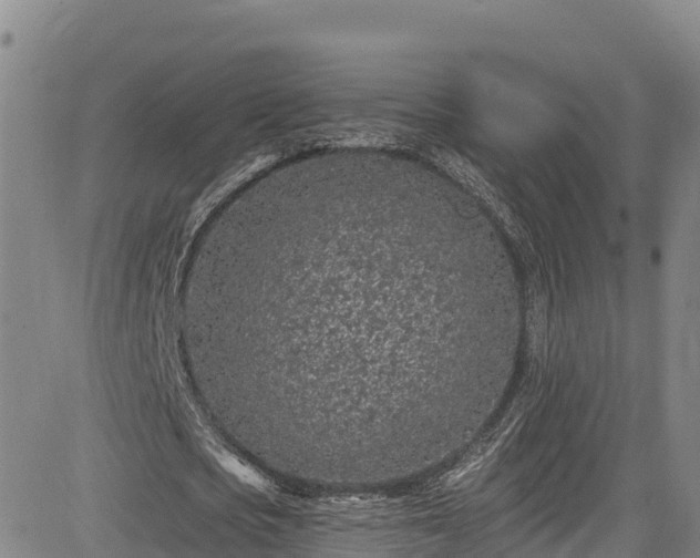 X0000085060721200703121524