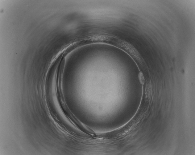 X0000085060722200703121524