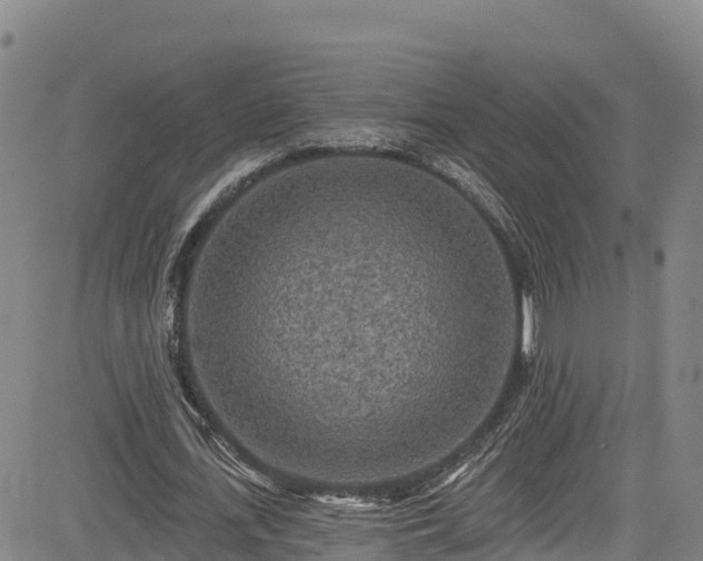 X0000085060723200703121524