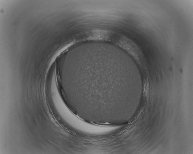 X0000085060724200703121524