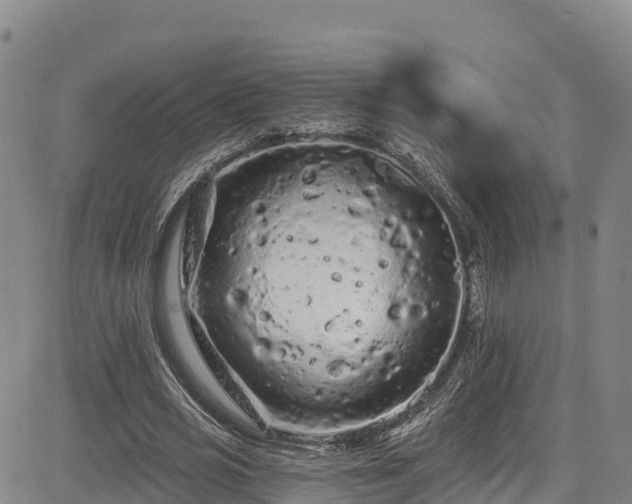 X0000085060725200703121524