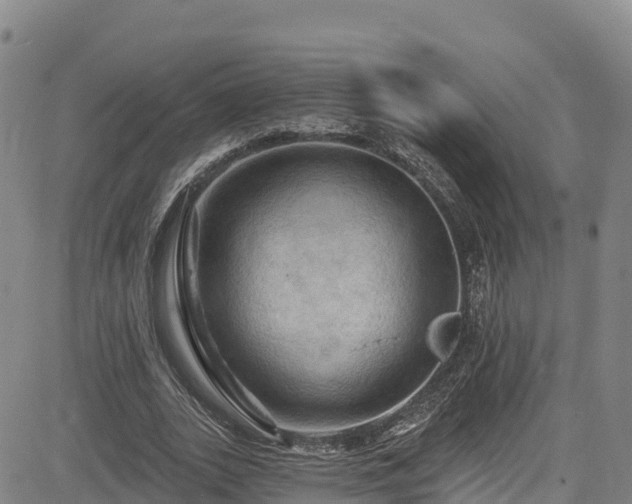 X0000085060727200703121524