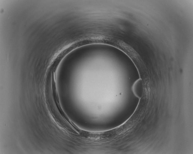 X0000085060728200703121524