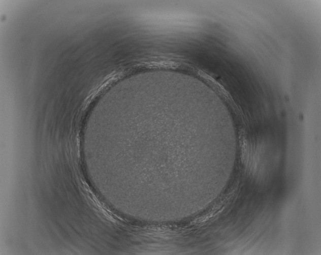 X0000085060729200703121524