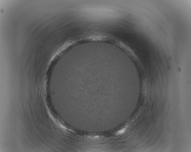 X0000085060730200703121524