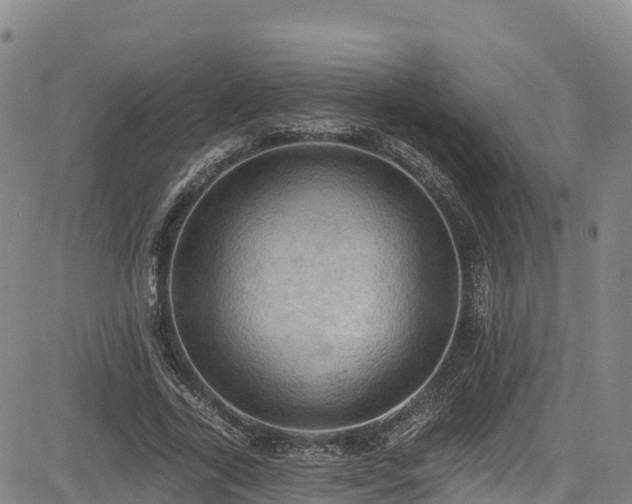 X0000085060731200703121524