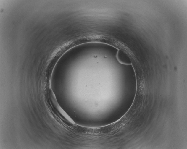 X0000085060732200703121524