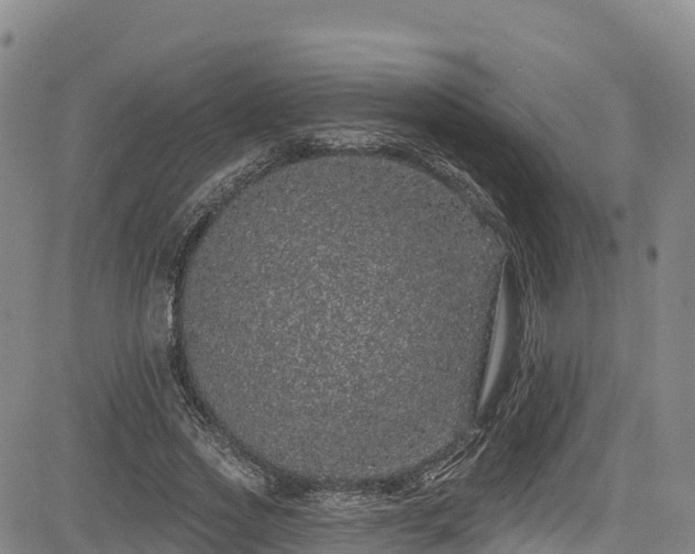 X0000085060733200703121524