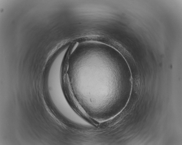 X0000085060734200703121524