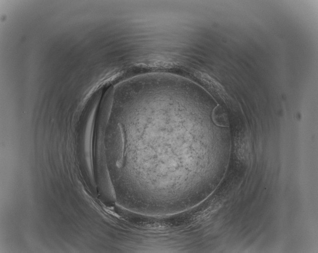 X0000085060735200703121524